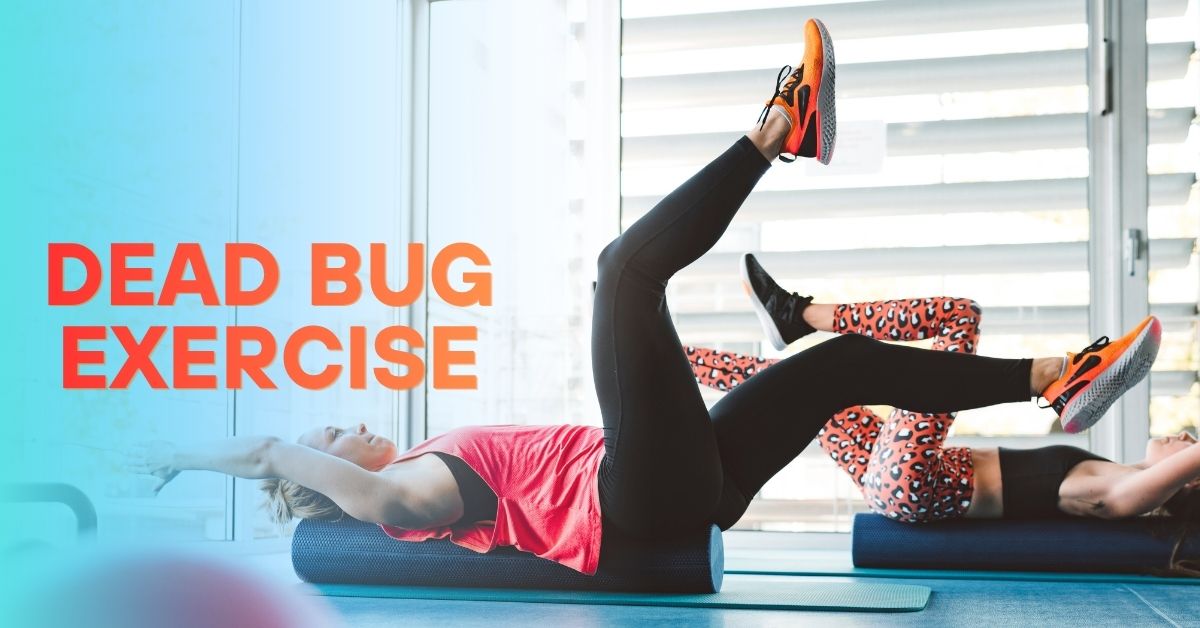 dead bug exercise